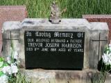 image of grave number 919463